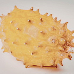 Kiwano (Horned Melon)