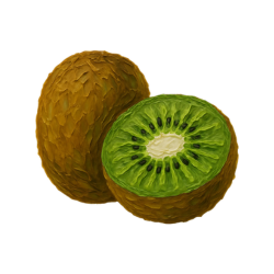 Kiwi (Actinidia deliciosa)
