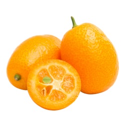 Kumquat - List of Citrus Type of Fruits