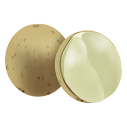 Langsat Autumn Fruit