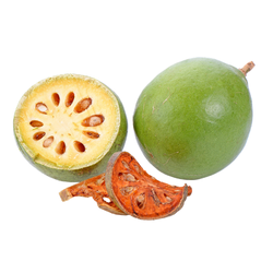 Large Fruit Bael - Large and Small Fruits