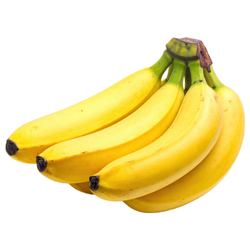 Large Fruit Banana