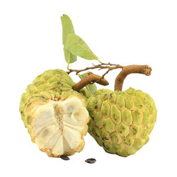 Custard apple
