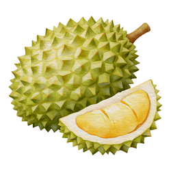 Large Fruit Durian - Small and Large Fruits