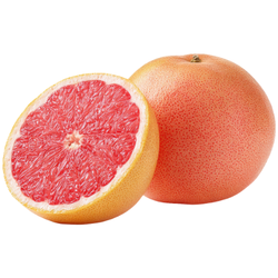Grapefruit - Large Citrus Fruit