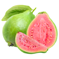 Large Fruit Guava - Small and Large Fruits