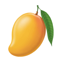 Mango - Small and Large Fruits