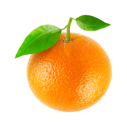Large Fruit Orange