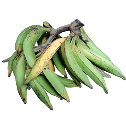 Plantain - Small and Large Fruits