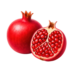Large Fruit Pomegranate - Small and Large Fruits