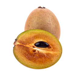 Large Fruit Sapodilla - Large and Small Fruits