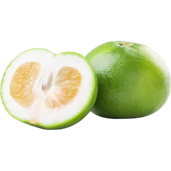 Large Oroblanco Citrus Fruits