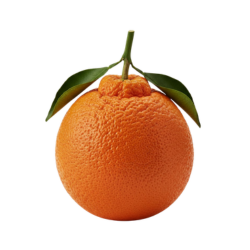 Large Seville Orange Citrus Fruits