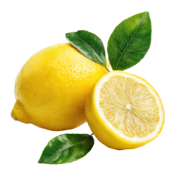 Lemon Citrus Fruits Varieties