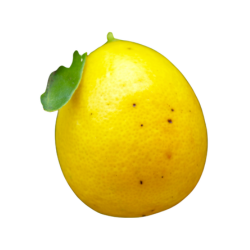 Limequat Citrus Fruits