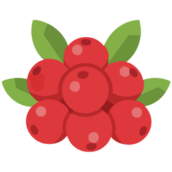 Lingonberry Autumn Fruits Names
