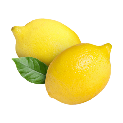 Lisbon Lemon - Citrus Fruit Names