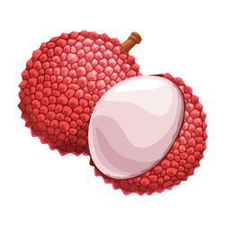 Lychee - Sweet and Bitter Fruits Names