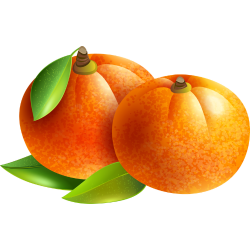 Mandarin: Oranges and Mandarins Citrus Fruit Names