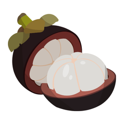 Mangosteen Autumn Fruit