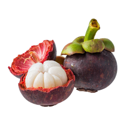 Mangosteen - Sweet and Bitter Fruits Names