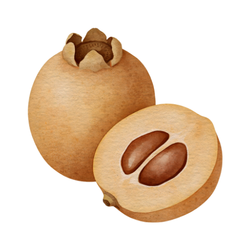 Medlar - Autumn Fruits Names