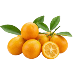 Meiwa Kumquat Citrus Fruits