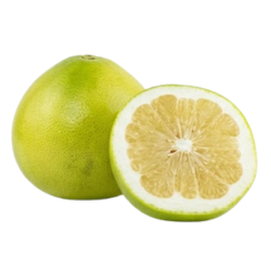 Melogold - Largest Citrus Type of Fruit