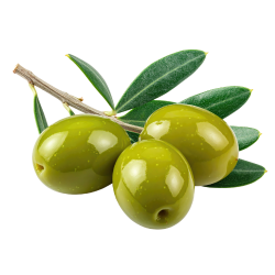 Olive Bitter Fruit
