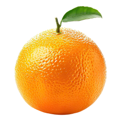 Orange Citrus Fruits Family Member