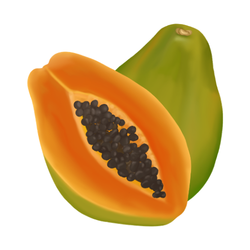 Autumn Season Picks - Papaya