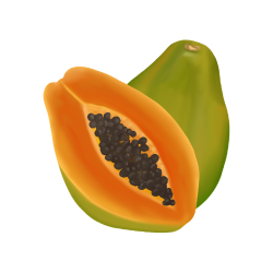 Papaya (Carica papaya)
