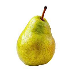 Pear - Sweet and Bitter Fruits Names
