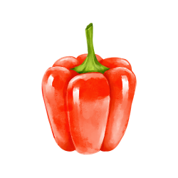 Pepper (Bell pepper, Chili – Capsicum spp.)
