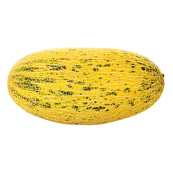 Types of Melons - Persian Melon