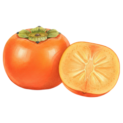 Persimmon - Sweet and Bitter Fruits Names