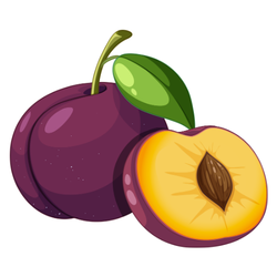Plum - Autumn Fruits and Names