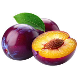 Plum - Sweet and Bitter Fruits Names