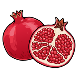 Pomegranate - Autumn Fruits and Names