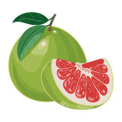Pomelo Fruit: Type of Citrus Fruits