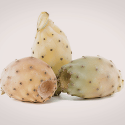 Prickly Pear (Cactus Fruit)