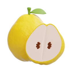 Quince Unique Autumn Fruit