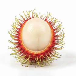 Spiky Rambutan Fruit