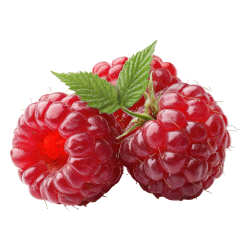 Raspberry - Sweet and Bitter Fruits Names