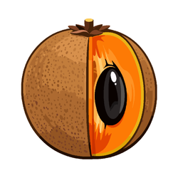 Sapodilla - Autumn Fruit