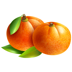Satsuma Autumn Fruit