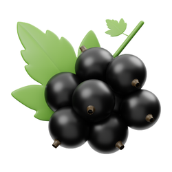 Black currant
