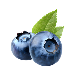Blueberry