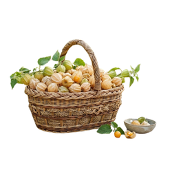 Small Fruit Cape gooseberry