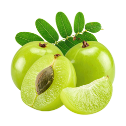 Gooseberry - Small and Large Fruits
